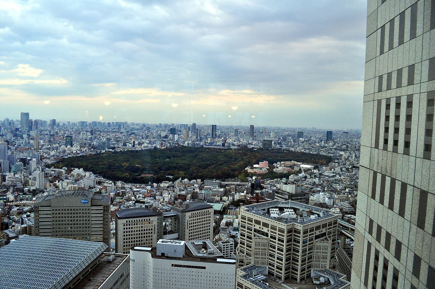 The Meiji Shrine forest seen from the free Tokyo Metropolitan Government Building observatory