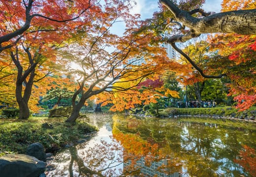 Colorful autumn foliage reflecting in a pond at Hibiya Park Tokyo
