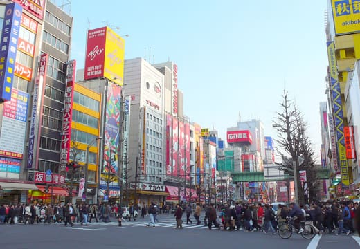 Crowds crossing Chuo-dori under the tall signboards of Akihabara Electric Town by day