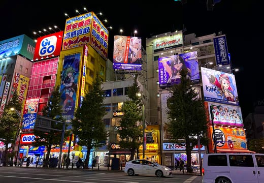 Anime billboards and neon shopfronts lining Chuo-dori in Akihabara Electric Town at night