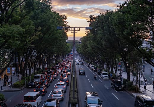 Zelkova-lined Omotesando avenue at sunset seen from the pedestrian bridge near Harajuku