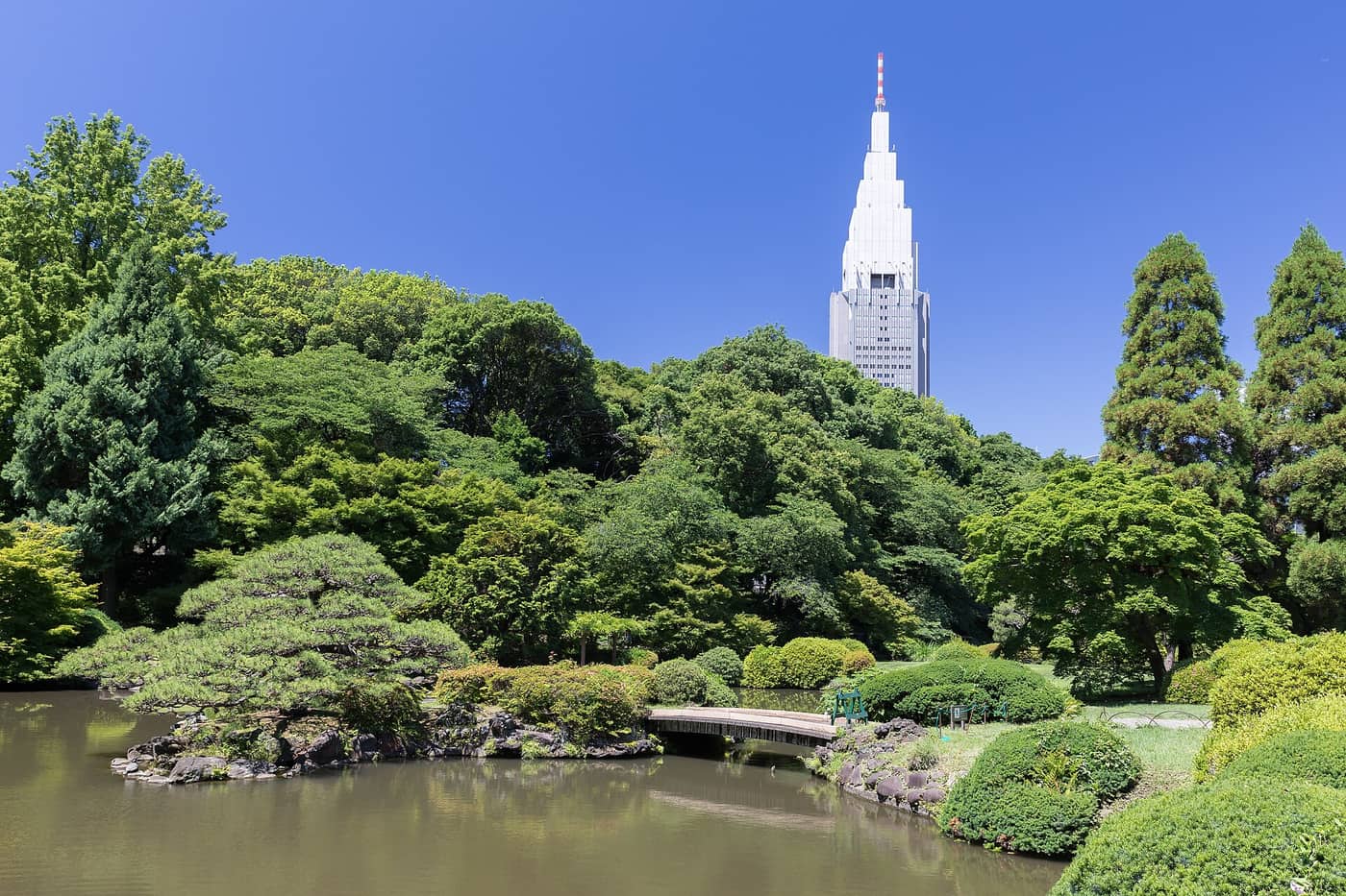 Footbridge over a pond in Shinjuku Gyoen with the Docomo Tower rising behind