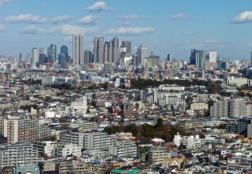 Rooftops of Setagaya stretching to the Shinjuku skyscrapers from Carrot Tower in Sangenjaya