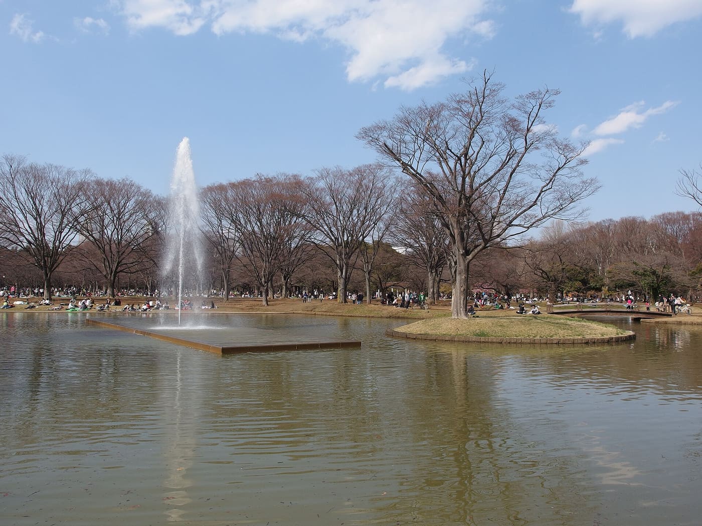 Fountain in the central pond of Yoyogi Park, the big green space beside Harajuku