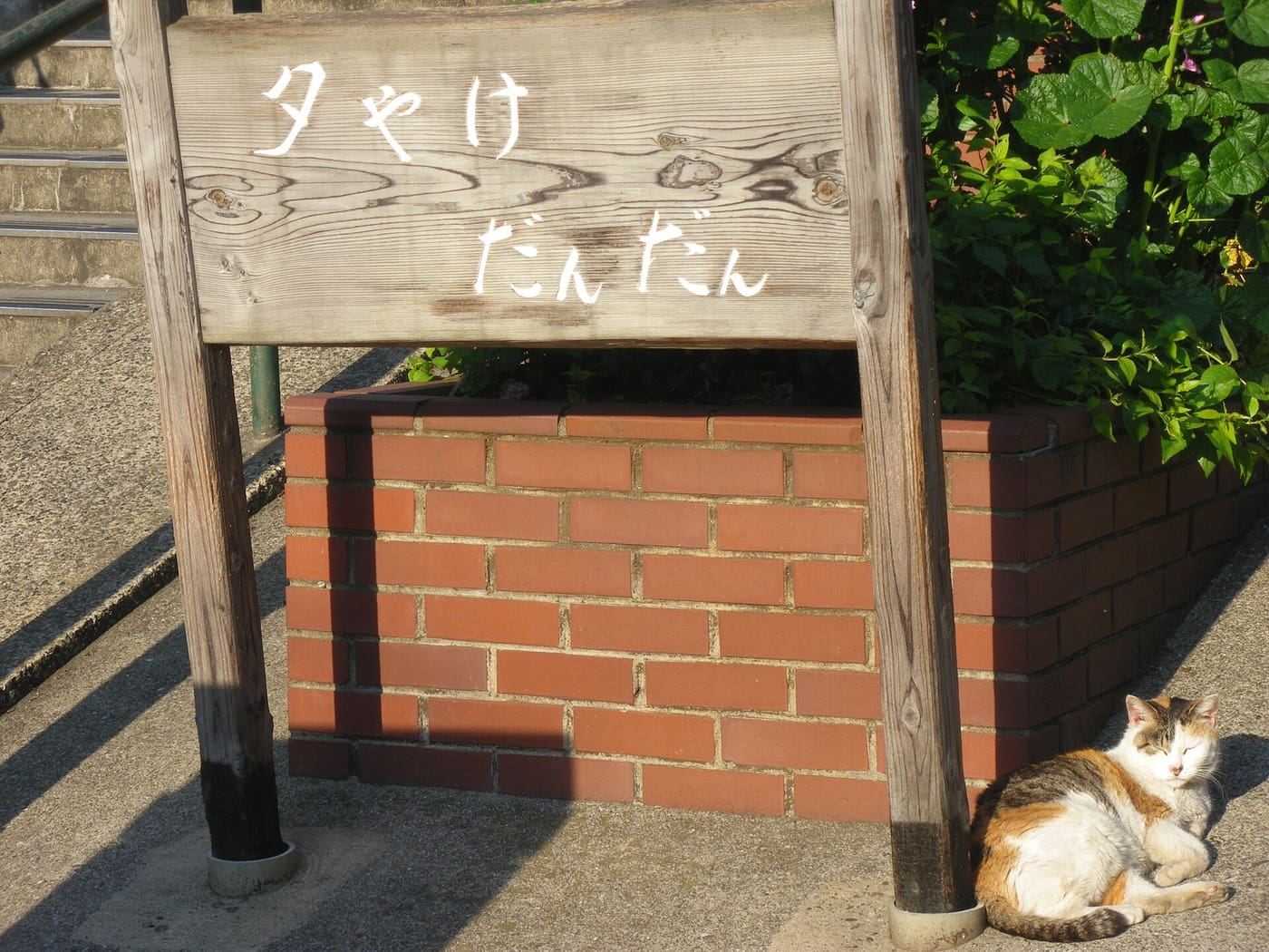 A cat resting beneath the wooden Yuyake Dandan sign at the top of the Yanaka steps