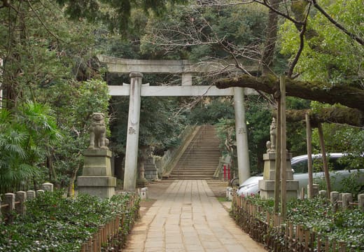 Stone torii at the top of the tree-shaded steps into Akasaka Hikawa Shrine