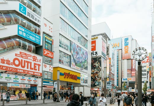 Shoppers on Chuo-dori among the electronics and anime stores of Akihabara Electric Town by day
