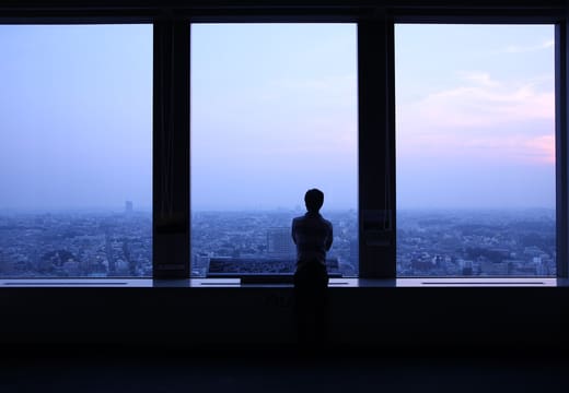 Visitor silhouetted against the dusk view from the Carrot Tower observation deck window