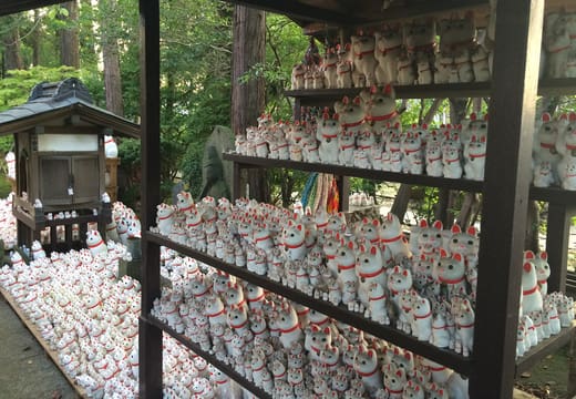 Covered offering stand filled with maneki-neko figurines beside a hall at Gotokuji