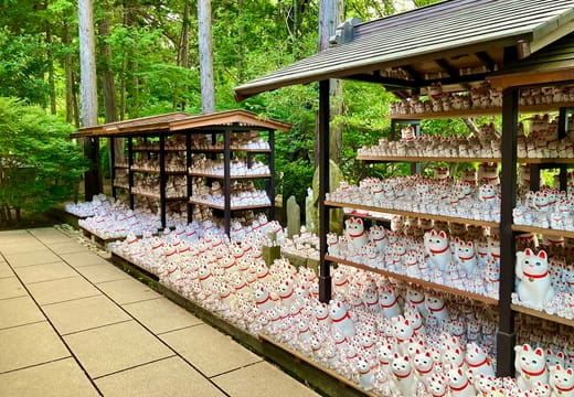 Shelves packed with thousands of white maneki-neko beckoning cats at Gotokuji Temple, Setagaya