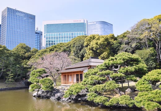 Nakajima tea house on the tidal pond of Hamarikyu Gardens below the Shiodome towers