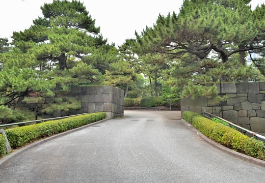 Path climbing between old Edo Castle stone walls and pines in the Imperial Palace East Gardens