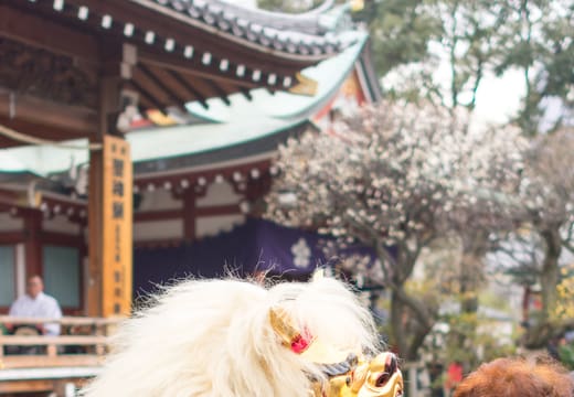 Shishimai lion dancer in a green costume performing at Kameido Tenjin Shrine