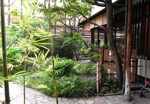 Bamboo and shrubs in the small garden beside the Kanda Yabu Soba dining room