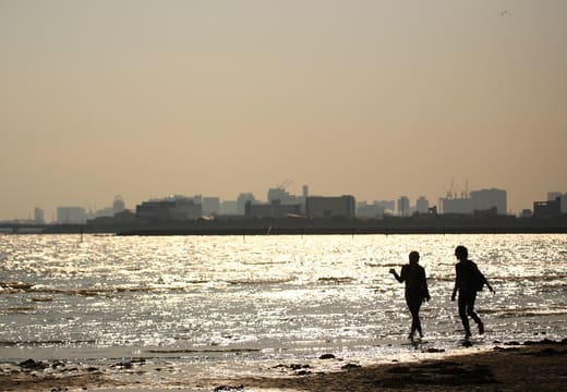 Visitors walking the sunlit shoreline of Kasai Rinkai Park beach on Tokyo Bay
