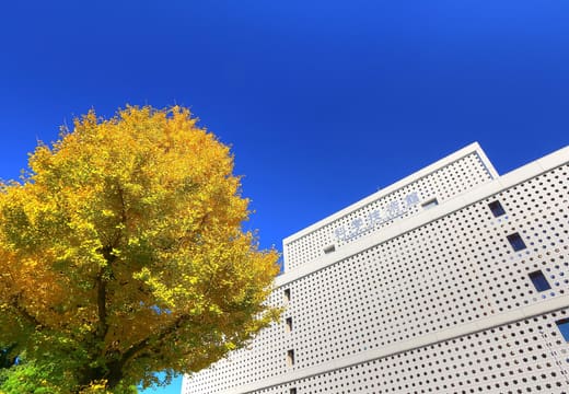 Golden ginkgo tree beside the perforated facade of the Science Museum in Kitanomaru Park