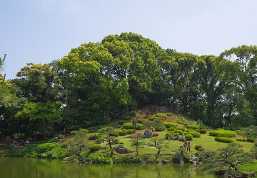 Artificial Tsukiyama hill with clipped azaleas and trees at Kiyosumi Gardens