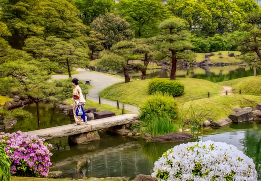 Visitor crossing a stone slab bridge between azaleas in Kyu Shiba Rikyu Gardens