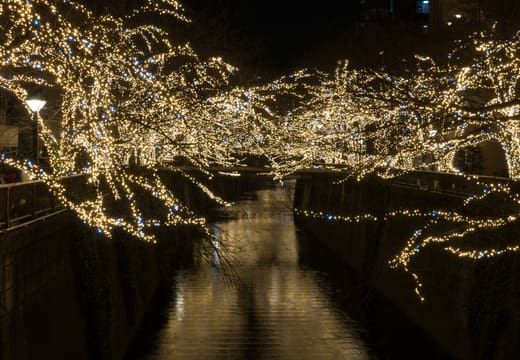 Golden winter illuminations in the trees reflected in the Meguro River at Nakameguro