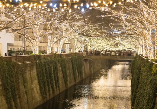 Golden winter illuminations strung through the trees over the Meguro River in Nakameguro