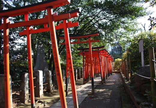 Tunnel of vermilion torii gates climbing to the Otome Inari shrine at Nezu Shrine