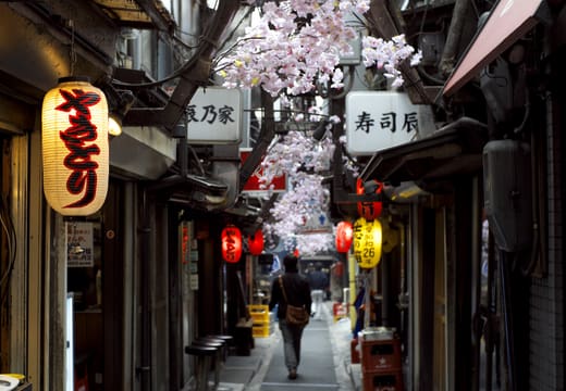 Paper lanterns and spring blossom decorations over the narrow lane of Omoide Yokocho, Shinjuku
