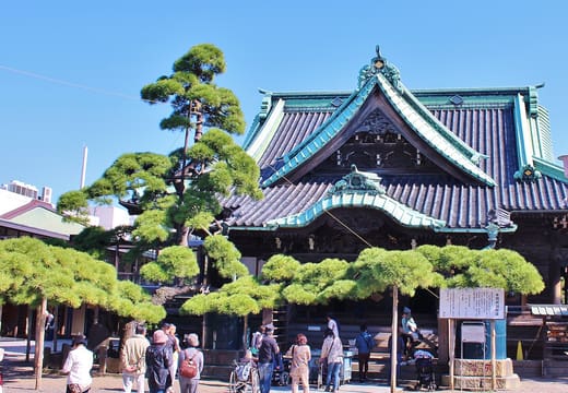 Main hall of Shibamata Taishakuten behind its sculpted pine tree with visitors in the courtyard