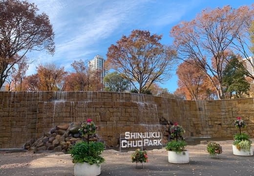 Shinjuku Niagara Falls stone waterfall wall with the Shinjuku Chuo Park sign in autumn
