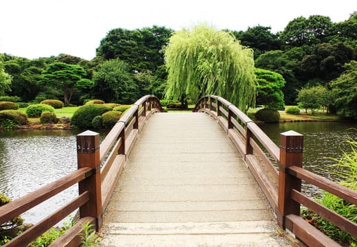 Wooden footbridge crossing a pond toward a weeping willow in Shinjuku Gyoen