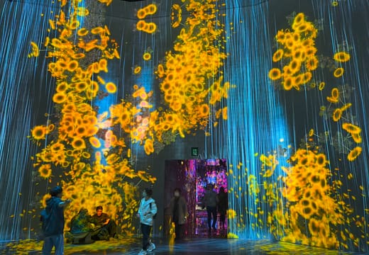Visitors walking among projected sunflowers and falling light at teamLab Borderless, Azabudai Hills