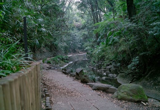 Shaded riverside path under dense trees in Todoroki Valley, Setagaya