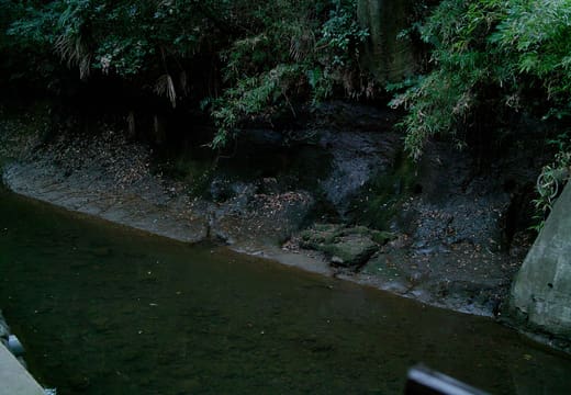 Yazawa River flowing between moss-covered rock walls in Todoroki Valley, Setagaya