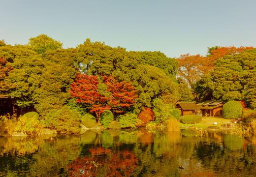 Autumn maples reflected in the garden pond behind the Tokyo National Museum with an old teahouse