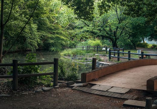Small wooden footbridge over Wadabori Pond in the woods of Wadabori Park