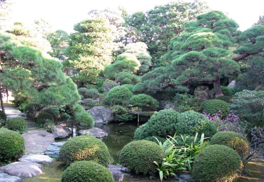 Clipped pines, azaleas and stone lanterns in the Japanese garden of Yamamoto-tei, Shibamata