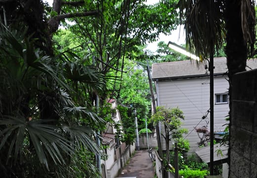 Narrow stepped back alley beside Gyokurinji temple overgrown with greenery in Yanaka