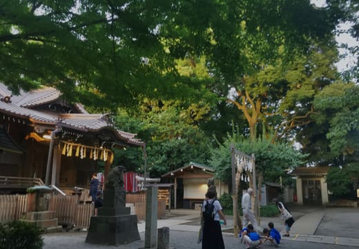 Visitors in the leafy grounds of Yoyogi Hachimangu Shrine on a summer day