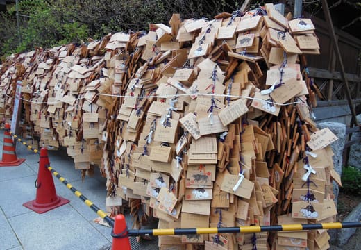 Thousands of wooden ema plaques with exam wishes packed along a fence at Yushima Tenman-gu