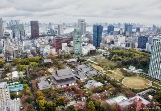 Aerial view of Zojo-ji temple roofs and Shiba Park among the towers of Minato