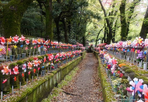 Rows of small Jizo statues in red caps with pinwheels in the Zojo-ji temple garden