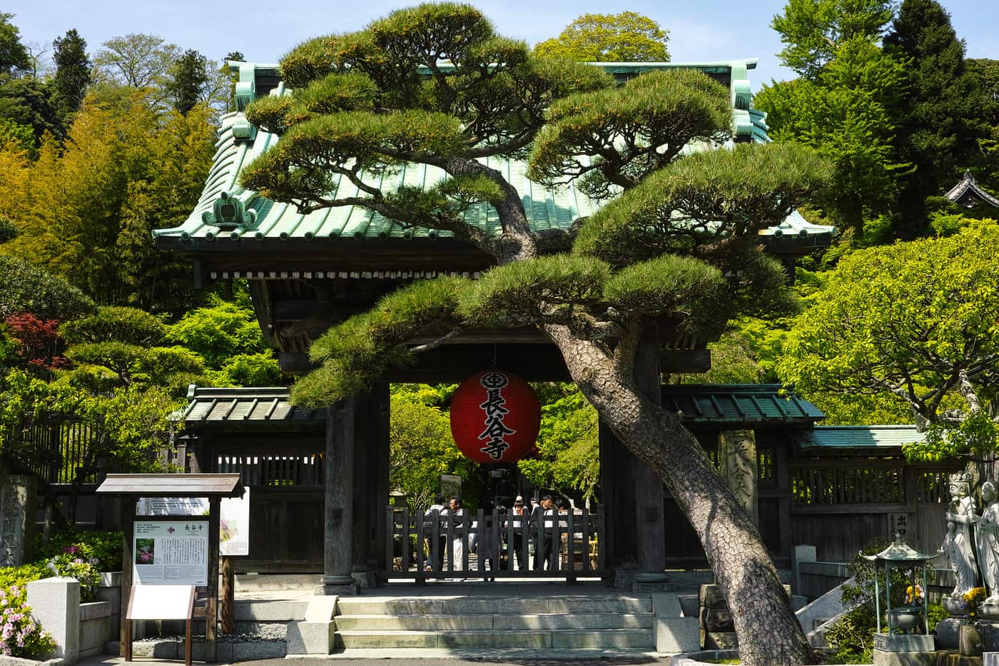 The entrance gate of Hase-dera in Kamakura with its large red lantern and pines