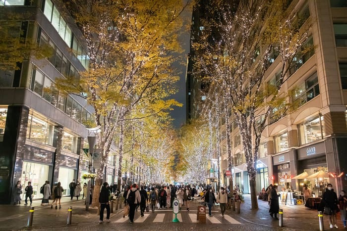 Champagne-gold lights on the street trees of Marunouchi Naka-dori in winter