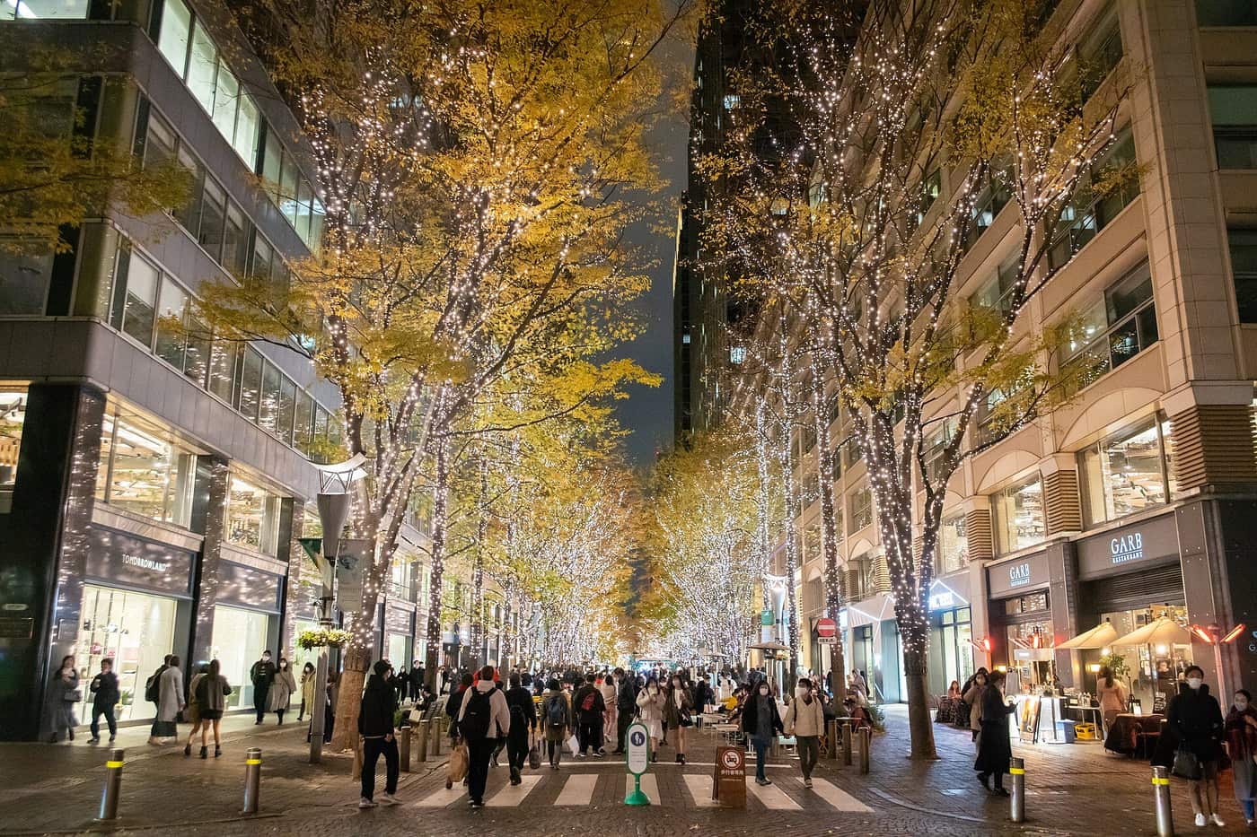 Champagne-gold lights on the street trees of Marunouchi Naka-dori in winter