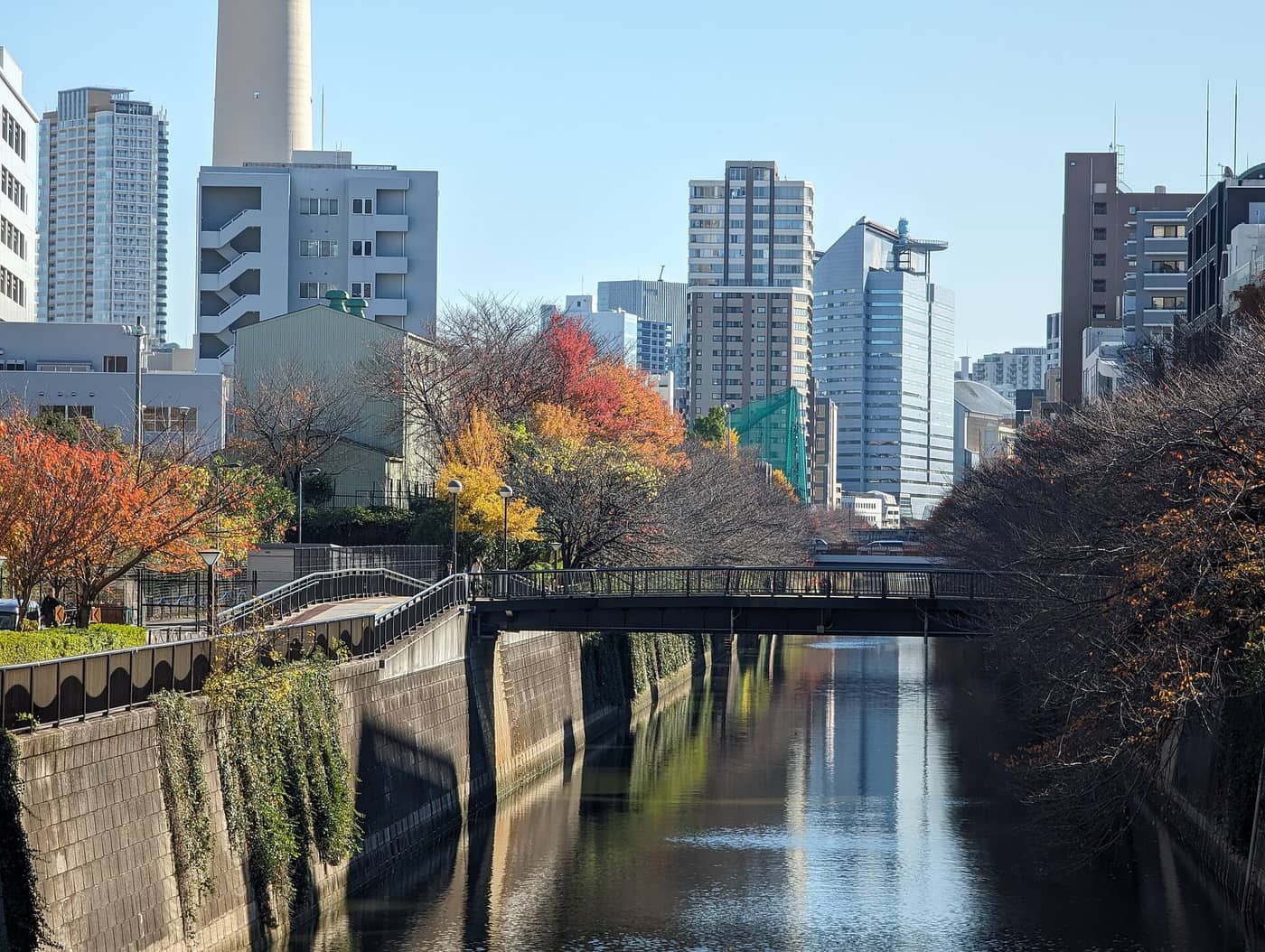 Le canal de la rivière Meguro à Nakameguro, bordé d’arbres aux couleurs d’automne
