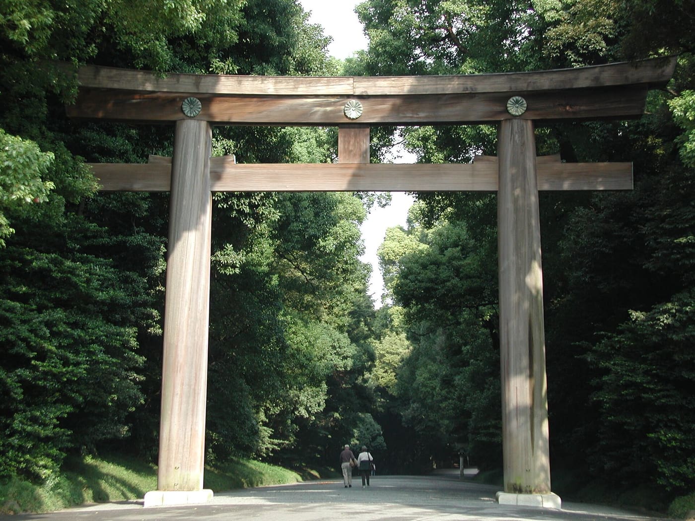 The tall wooden torii over the gravel path through the Meiji Jingu forest