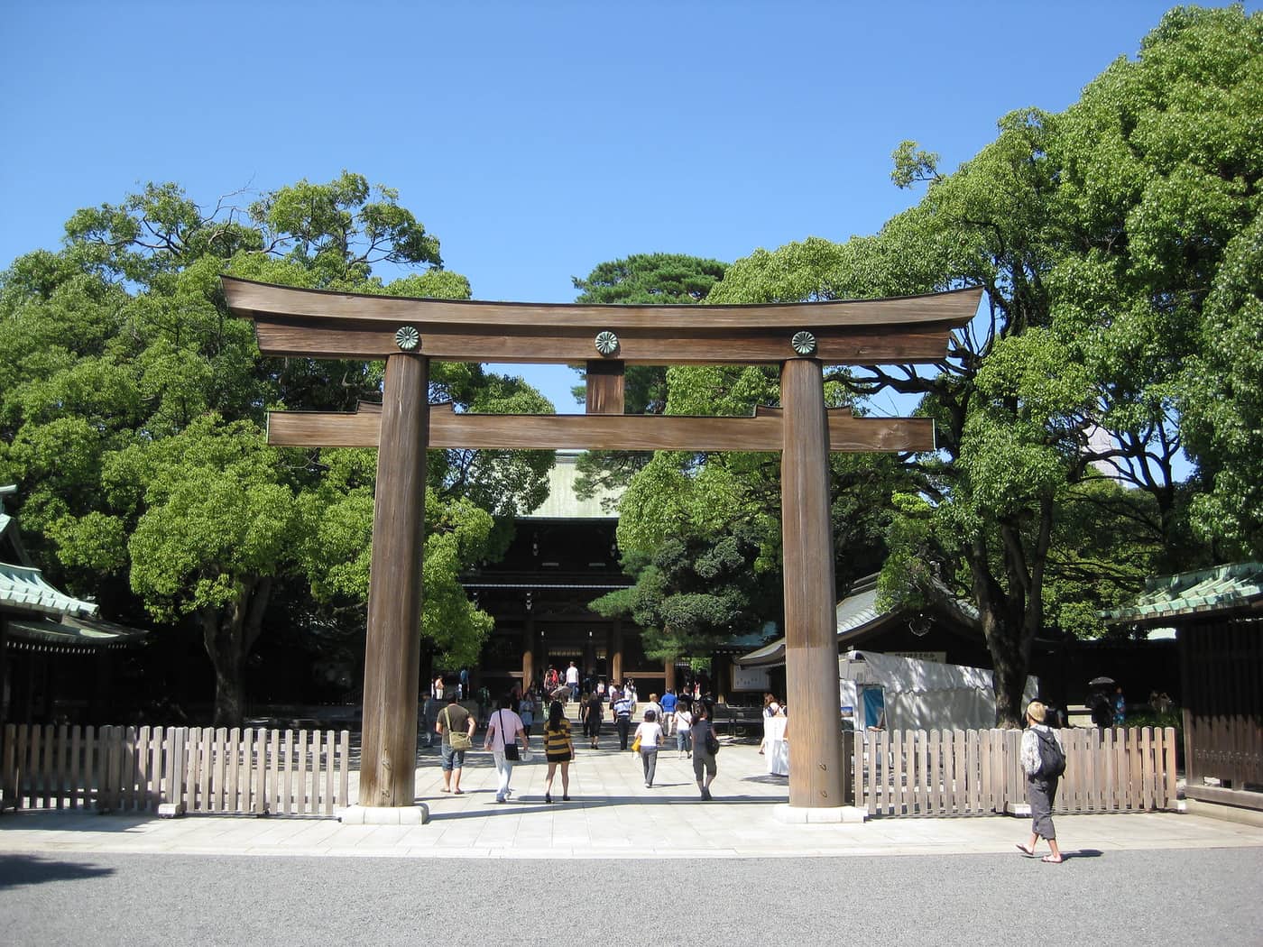 The great wooden torii of Meiji Jingu in the forest on a clear morning