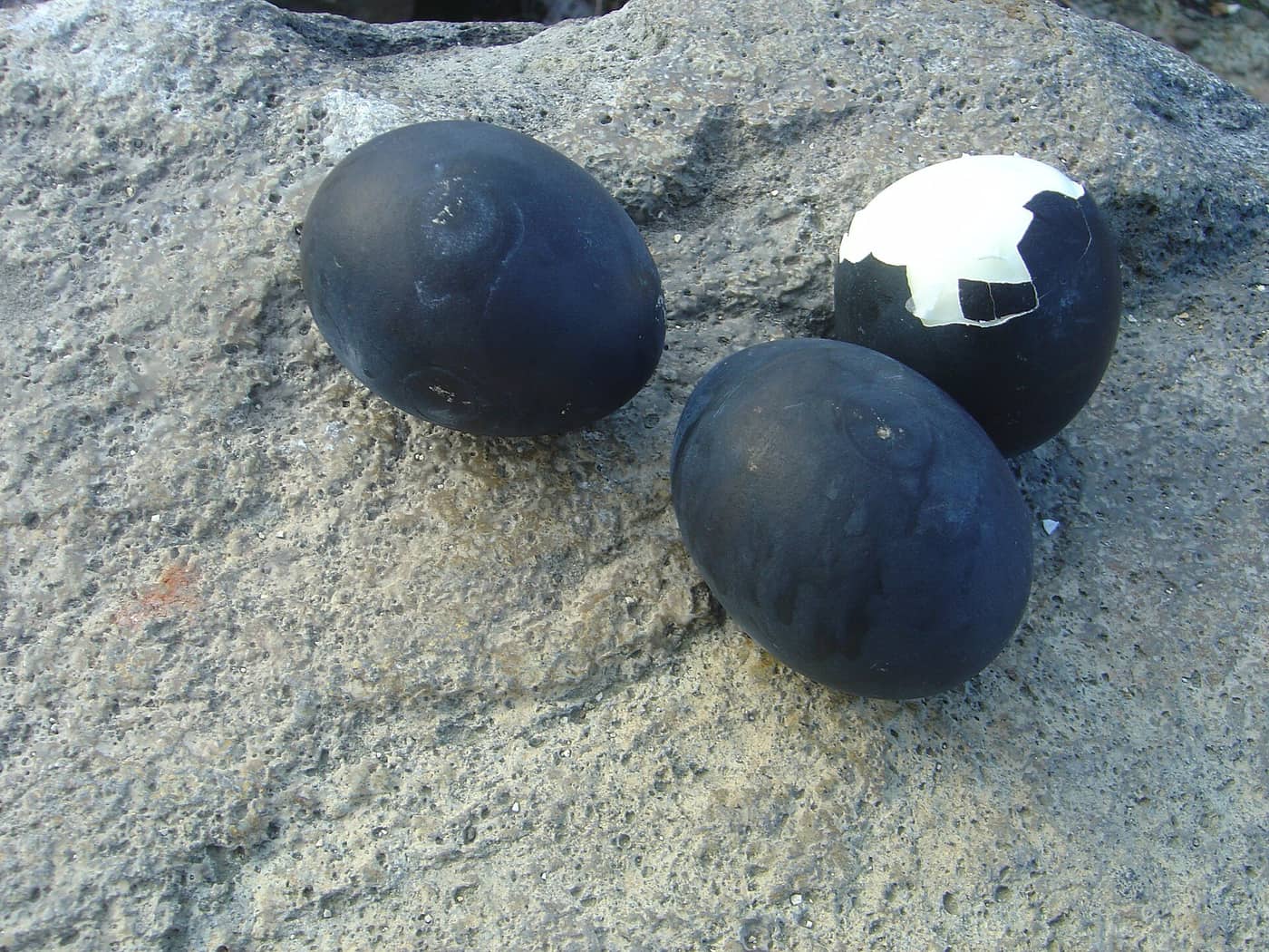 Kuro-tamago, the black eggs boiled in the sulphur springs at Owakudani, Hakone