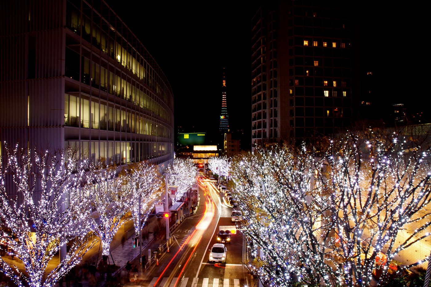 Keyakizaka-dori in Roppongi with its trees wrapped in white winter lights