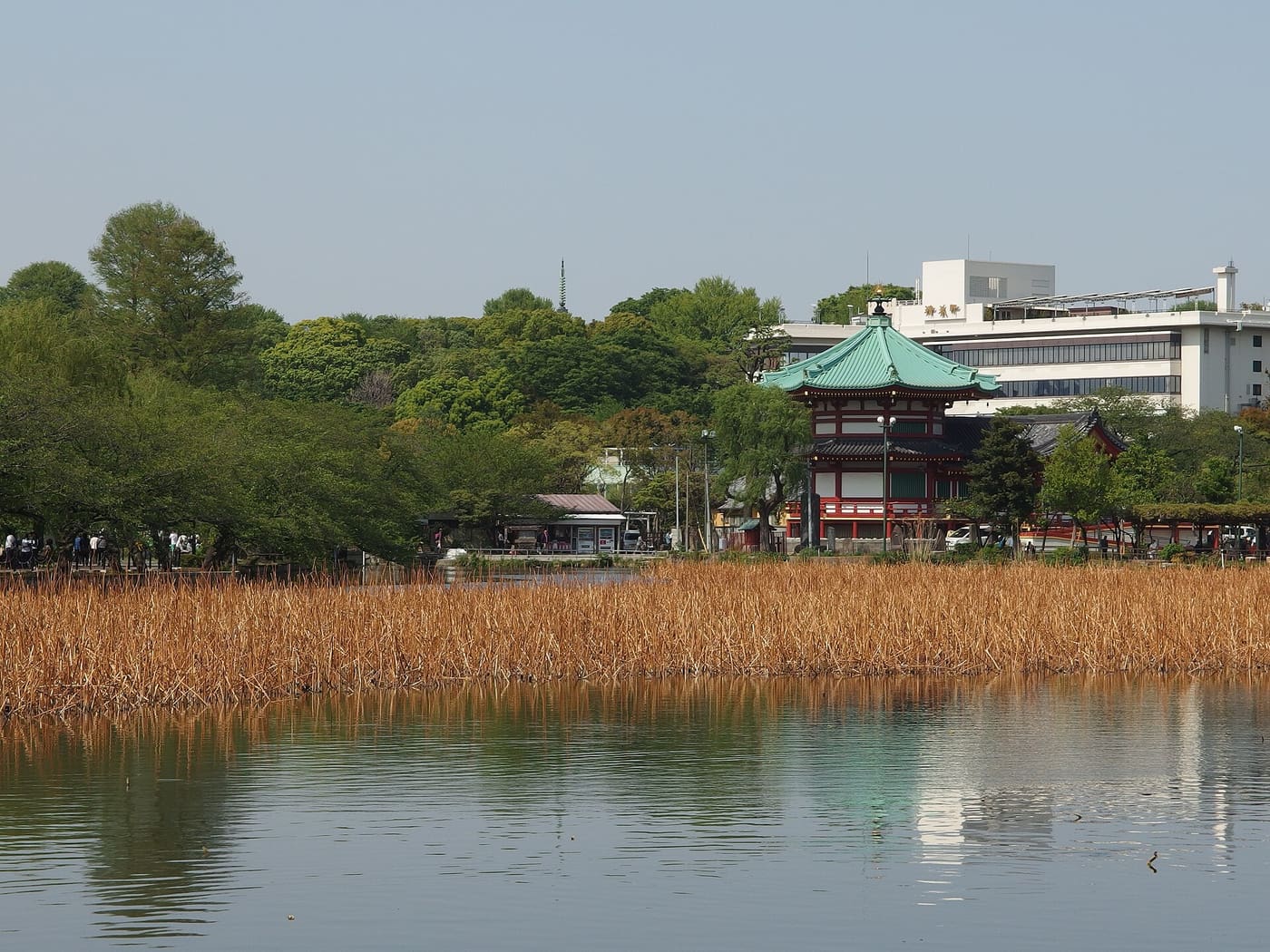 Shinobazu Pond and the Bentendo hall seen from the Ikenohata side of Ueno