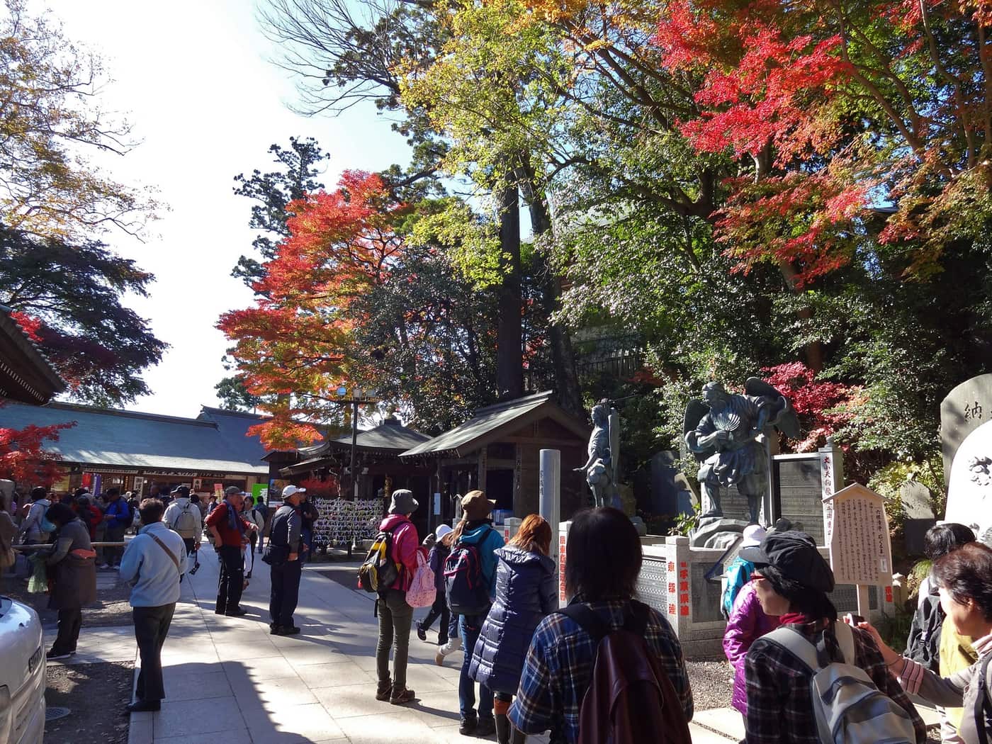 Hikers walking below red autumn maples at Yakuoin on Mount Takao in November